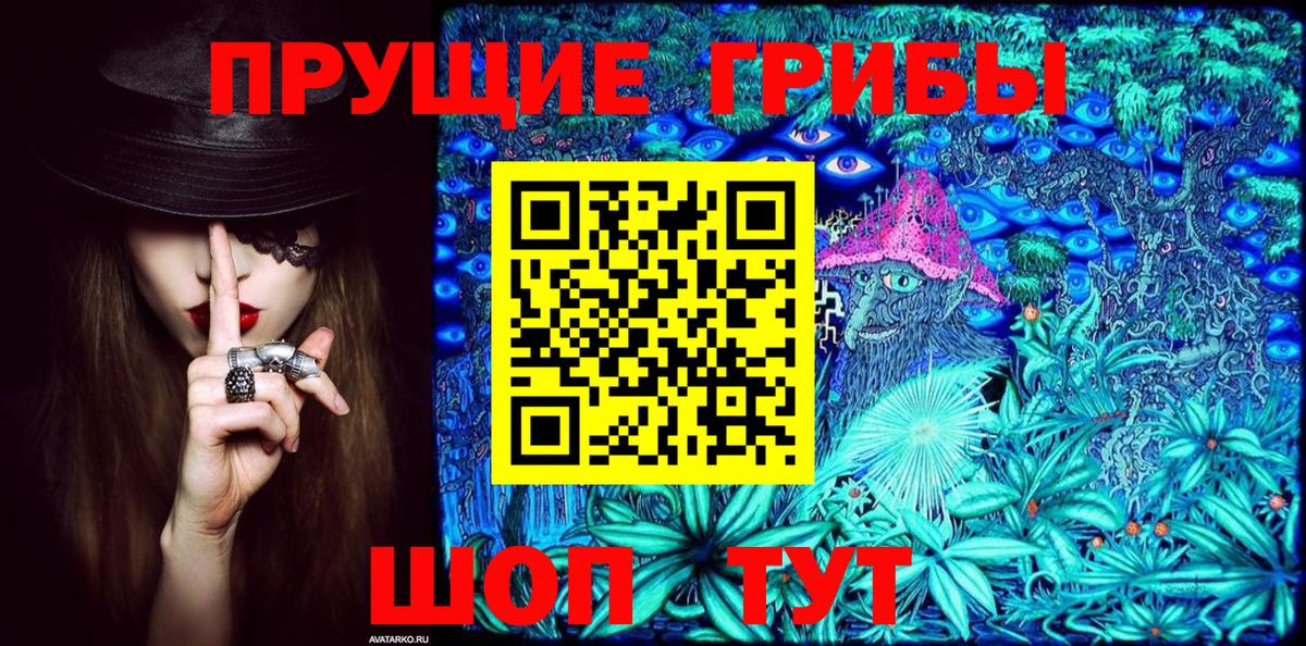 Галлюциногенные грибы Psilocybine cubensis Каменск-Уральский