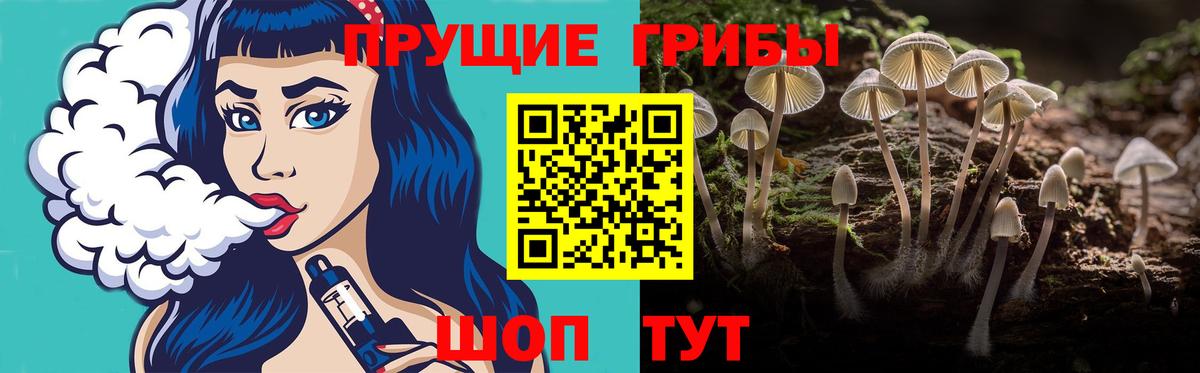 Каменск-Уральский  Псилоцибиновые грибы Magic Shrooms  Вход с VPN 