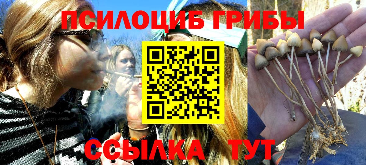 АМФ   Каменск-Уральский  Меф   Вход с VPN  Гашиш  Канабис 